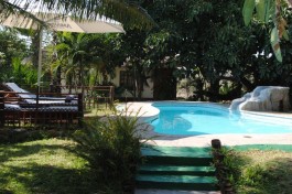 Kruger Backpackers Lodge Tour pool 