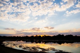 Luangwa River 