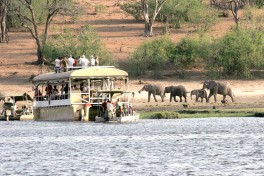 Chobe cruise 