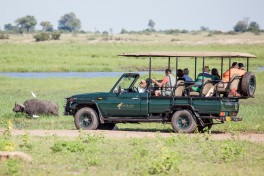 Chobe drive 