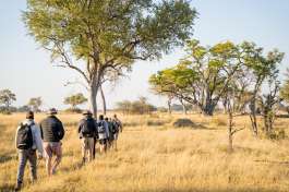 4 rivers camp - walking safari  