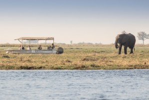 Chobe cruise