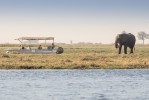 Chobe cruise 