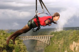 Vic Falls activity 