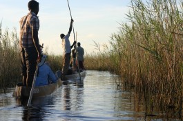 Mokoro ride 