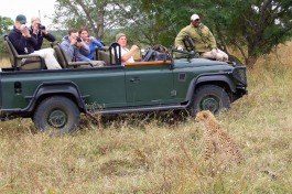 Game Drive 