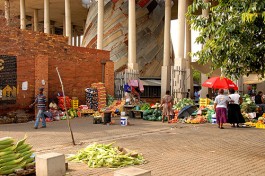 Soweto  by Travis Lupick