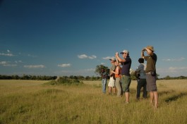 Okavango-morning-walk- 
