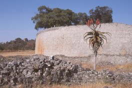 Zimbabwe great zimbabwe bruce taylor 