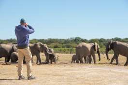 Zimbabwe Safari, Hwange  by Bruce Taylor