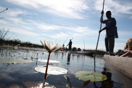 Okavango Delta mokoro poler 