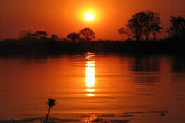 Delta sunset 