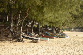 Beach boats 