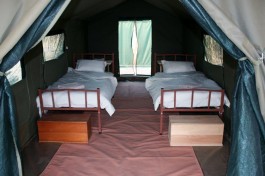 Tent inside 