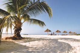 Zanzibar beach 