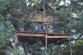 Kruger Treehouse Safari Camp 