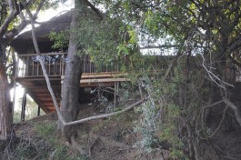 Kruger Treehouse Safari Camp treehouse 