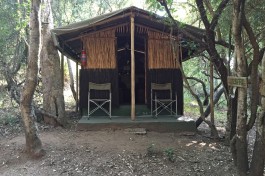 Tent at treehouse camp 