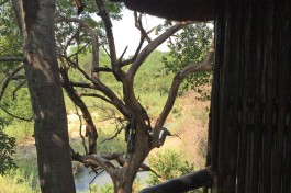 Private Reserve camp view 