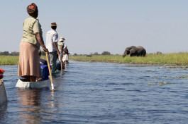 Mokoro & elephant in Botswana 