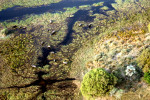 Okavango scenic flight, Botswana