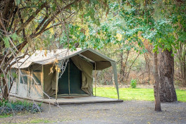 Botswana safari camp 