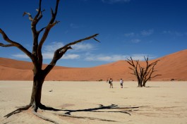 Deadvlei, Namib Desert 
