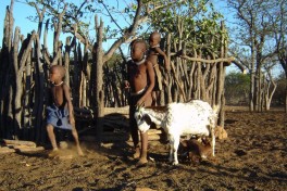 Himba children 