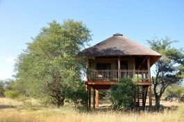 Treehouse 