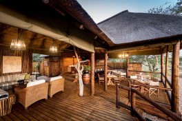 Camp lounge 