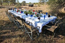 Bush dining 