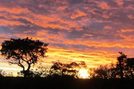 Klaserie Safari sunset, South Africa 