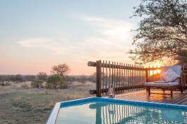 Private Tree Camp swimming pool 