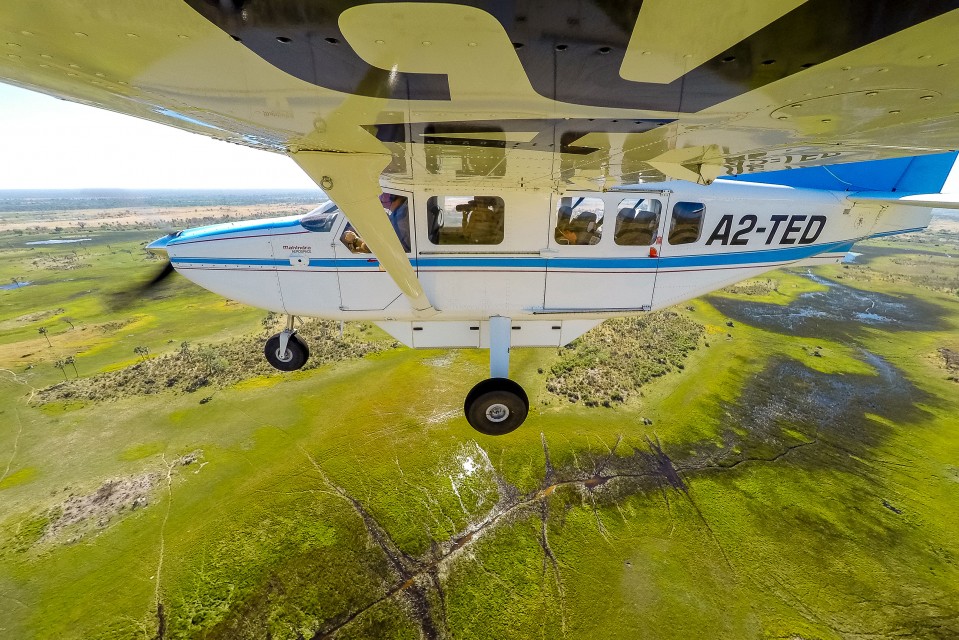 Delta flight