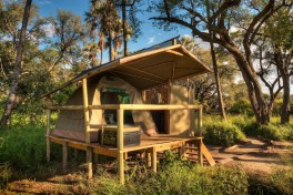 Delta Camp Tent 