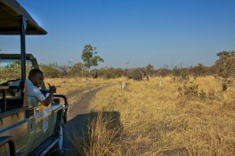 Game Drive 