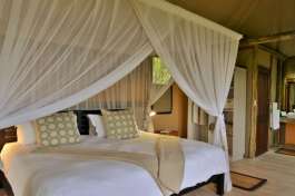 Savuti Accommodation 