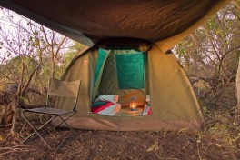 Tent, Botswana safari 