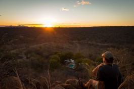 African Safari bush landscape 