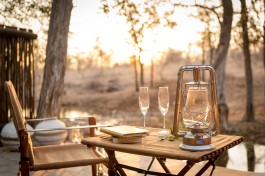 Kruger Camp chalet view 