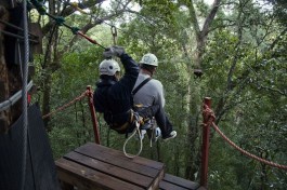 Canopy tour in Tsitsikamma, Garden Route  by South African Tourism