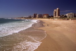 South Africa tour - Cape Town to Port Elizabeth  by Brian Snelson 