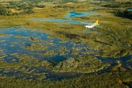Flight into Okavango Delta 