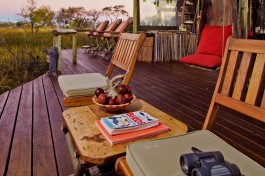 Safari camp lounge 