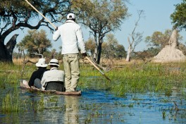 Mokoro Trip in Delta 