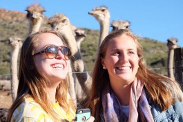 Oudtshoorn, South Africa Tour 