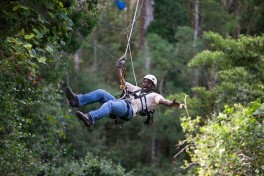 Tsitsikamma canopy tour, Garden Route 