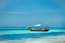Zanzibar Island 