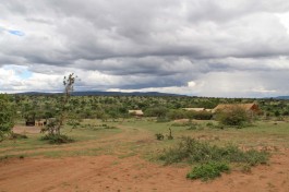 Mara camp 