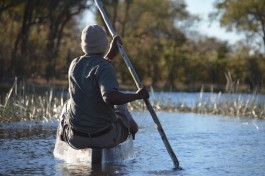 Mokoro trip, Okavango Delta safari 